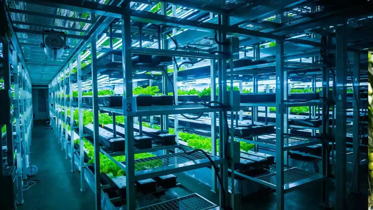 DIY Hydroponic Tower Garden With Lights