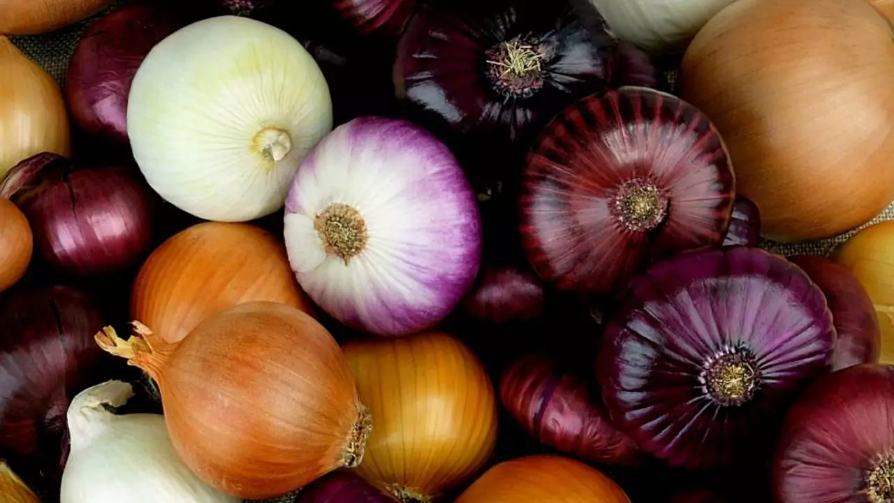 Is An Onion A Fruit Or Vegetable? 3 Is An Onion A Fruit Or Vegetable