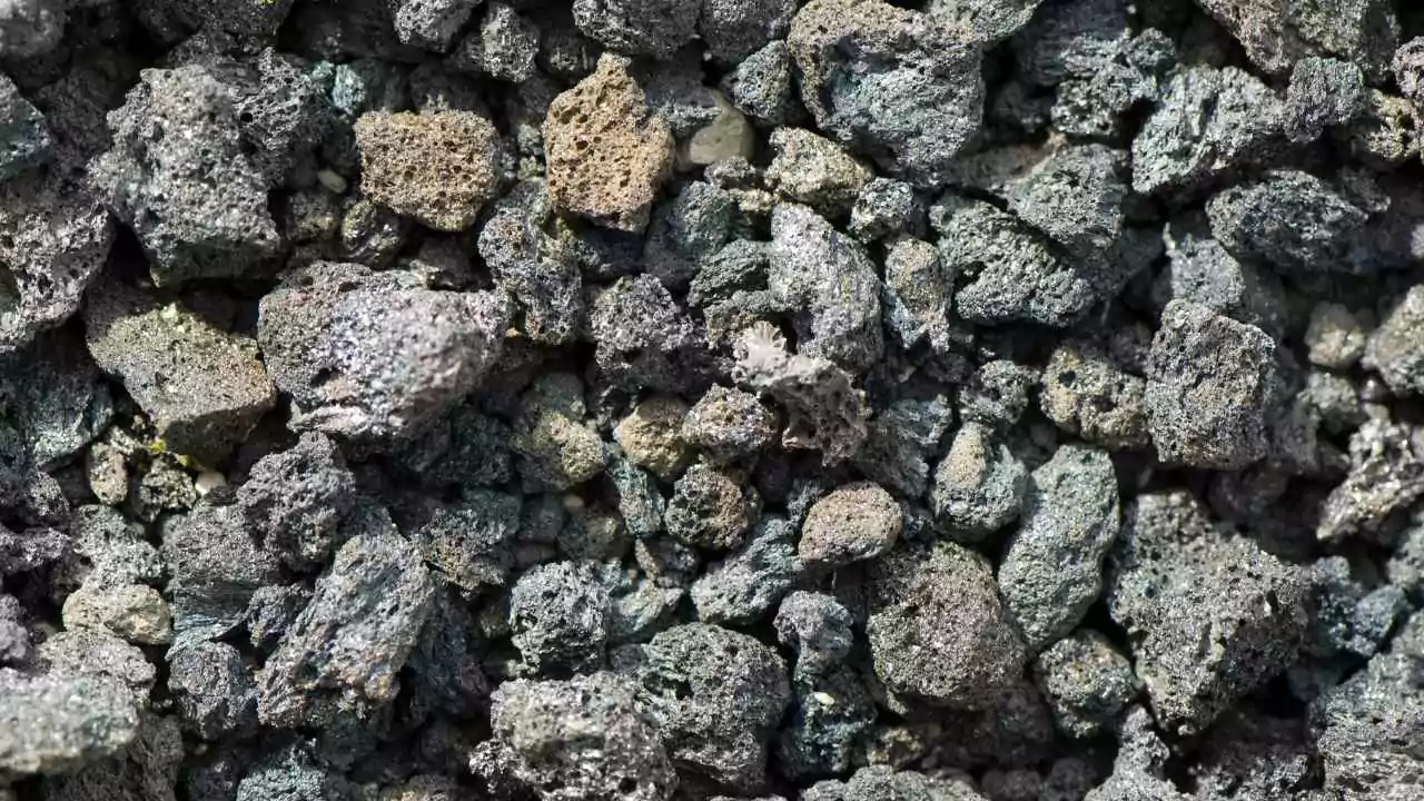 Pumice vs Lava Rock for Plants: Which is Better? 2 Lava Rock