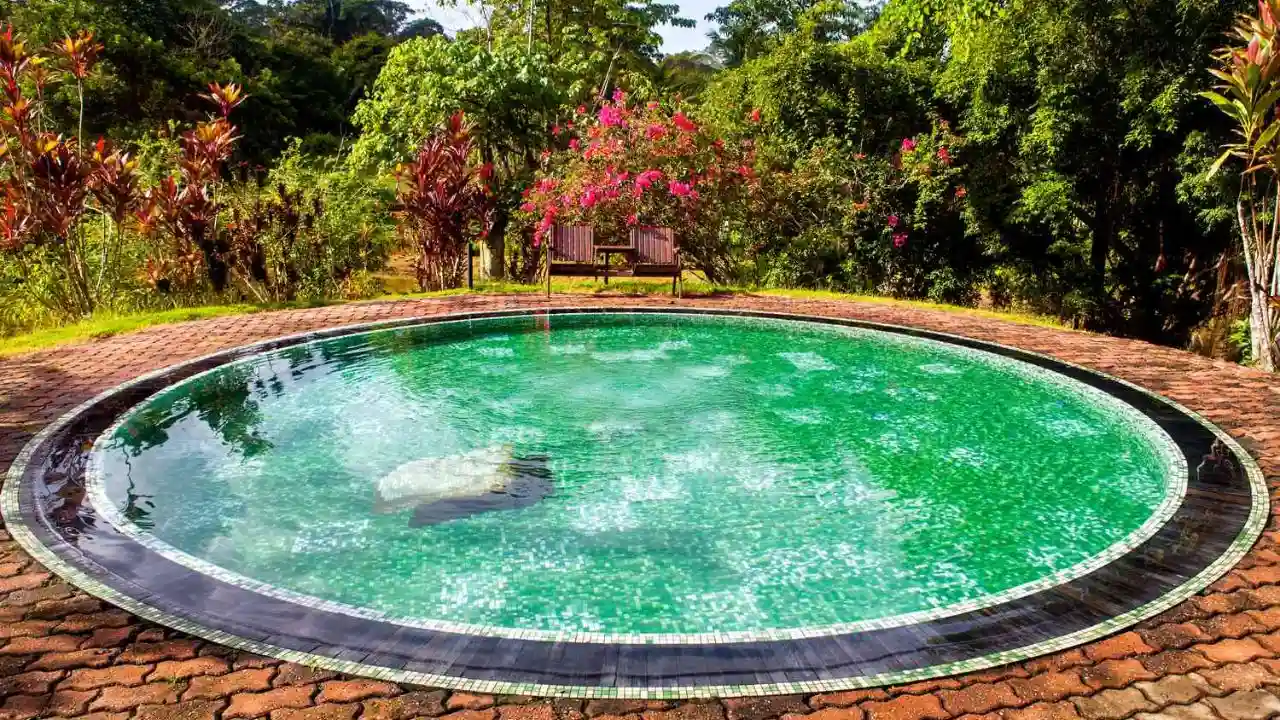 12 Small Backyard Pool Ideas on a Budget 4 Cool circle pools for tiny gardens