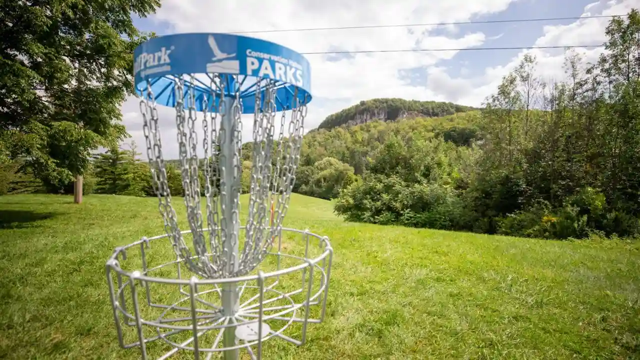 21 Outdoor Family Reunion Games 3 Frisbee Golf