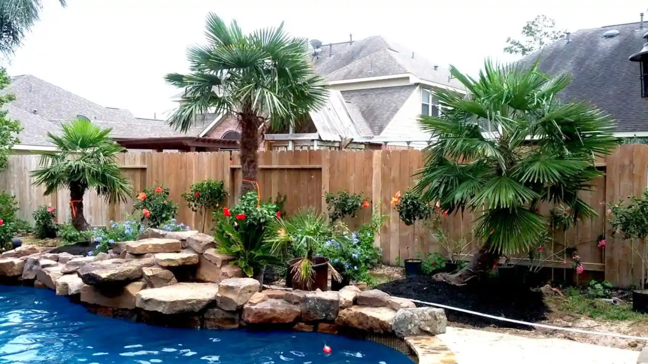 Grow Near Your Swimming Pool