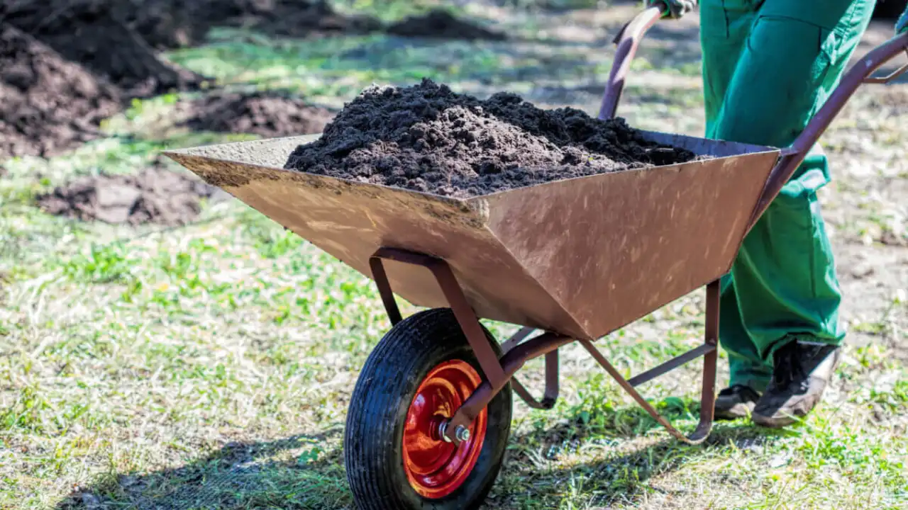 Moving concrete with wheelbarrows