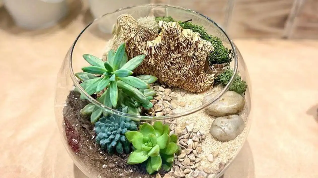 Terrarium Substrate Layers