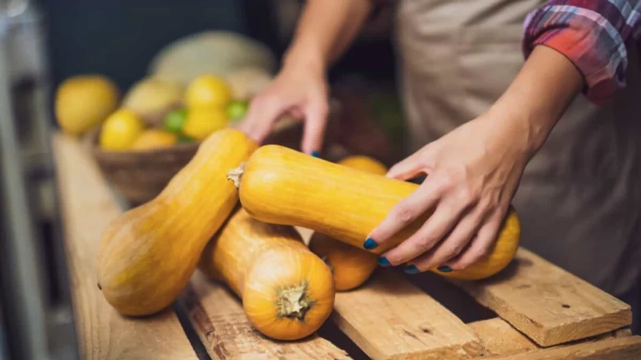 Can You Plant Pumpkin Seeds from a Store-Bought Pumpkin 5 Pumpkin is ready for harvest