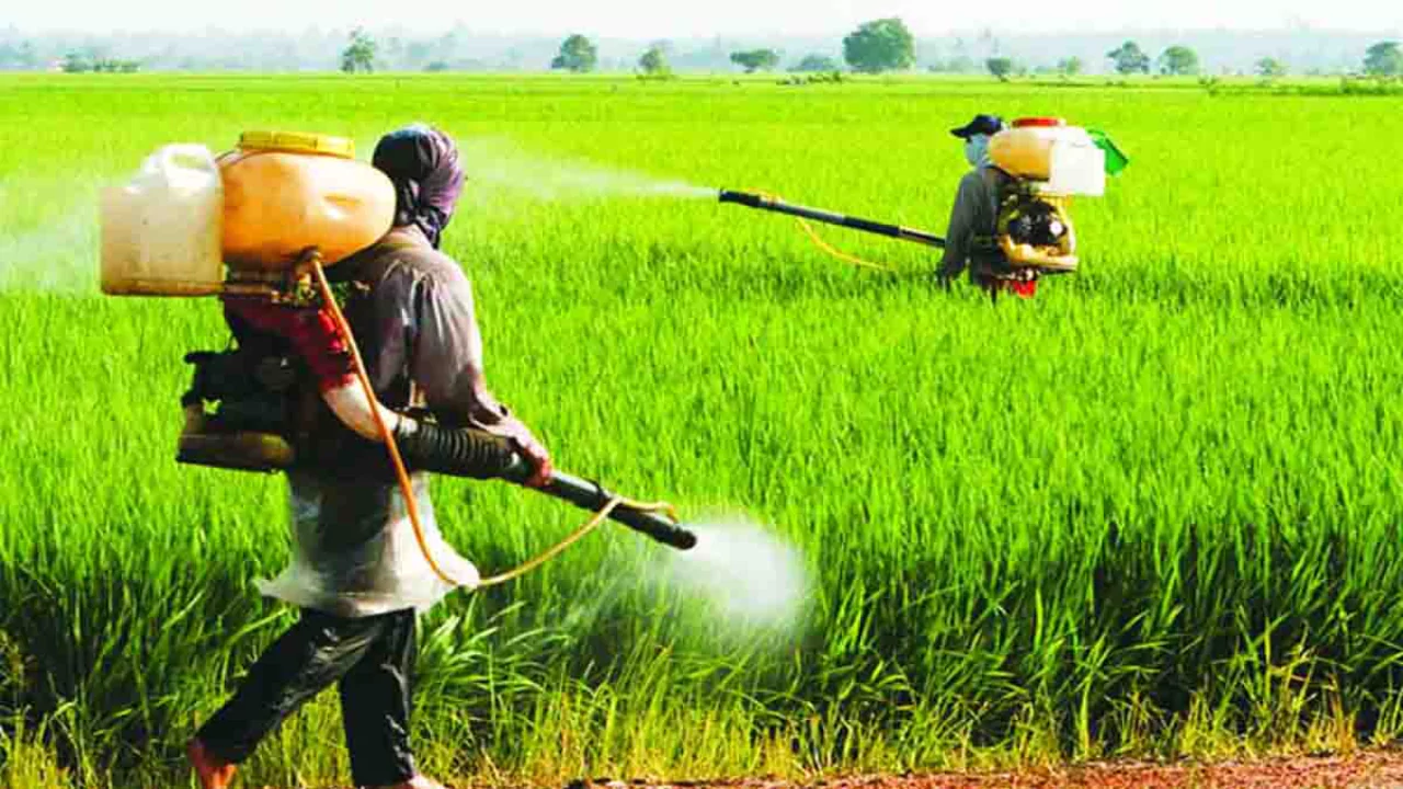 Will Roundup Kill Trees If It Gets Too Close To Them