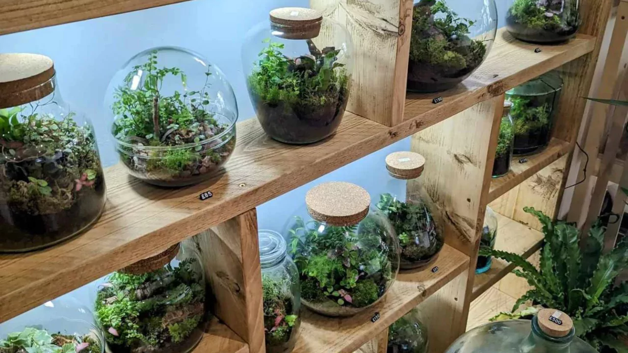 Terrarium substrate layers