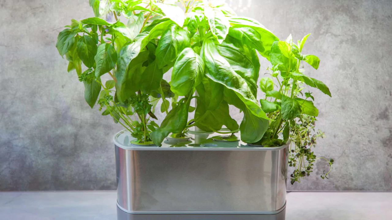 Aerogarden Lights Not Working (Troubleshoot and Fix) 2 Aerogarden