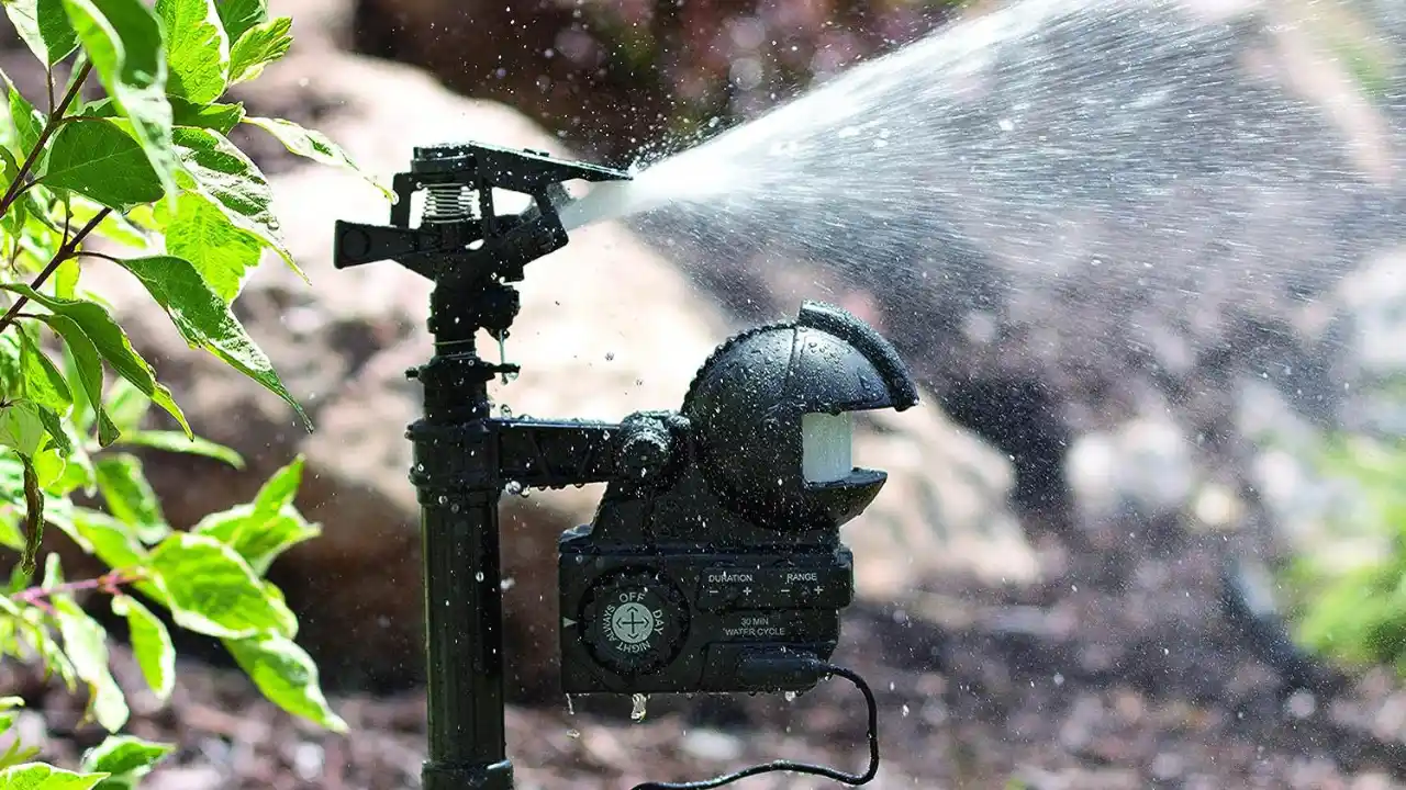 Best Motion Activated Sprinklers – Natural Pest Deterrents