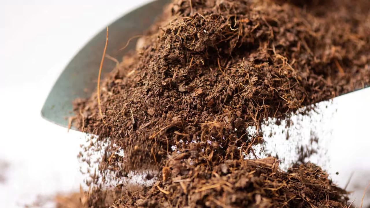 6 Coco Peat Disadvantages You Should Know About 2 Coco peat inferior