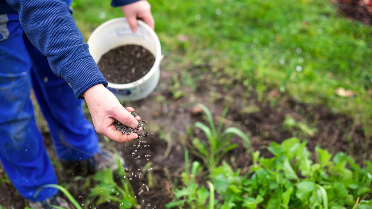 How Long Does it Take for Granular Fertilizer to Dissolve? 5 Does Granular Fertilizer Wash Away