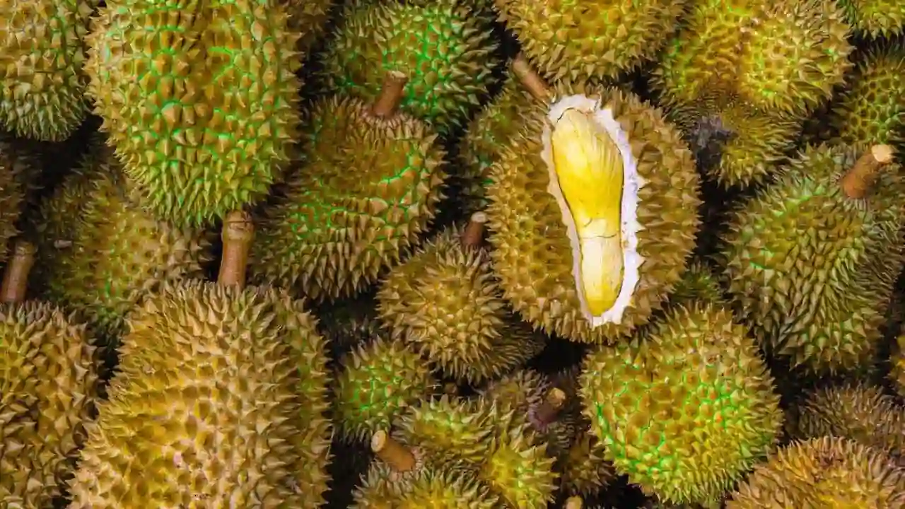 Durian