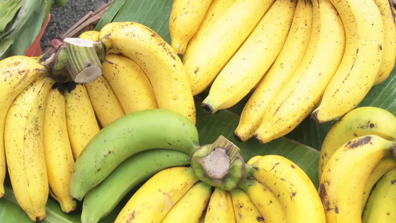 Fresh organic banana