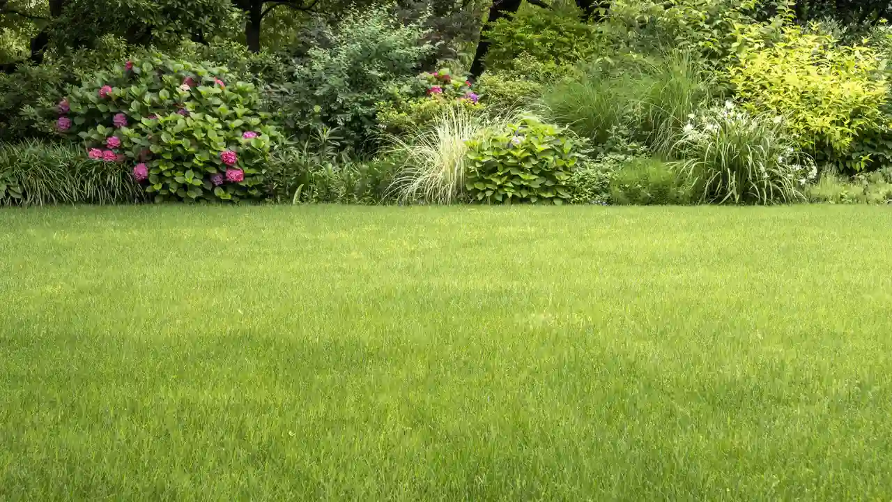 Will Aerating a Lawn Help with Drainage