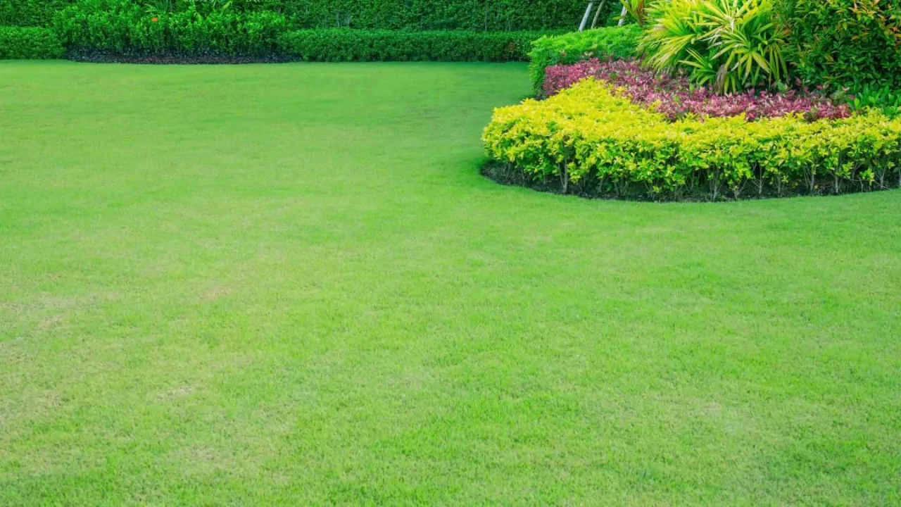 What Temperature Is Too Cold to Fertilize a Lawn