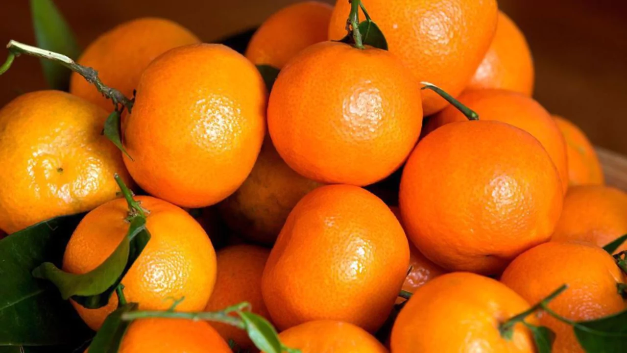 Mandarin oranges