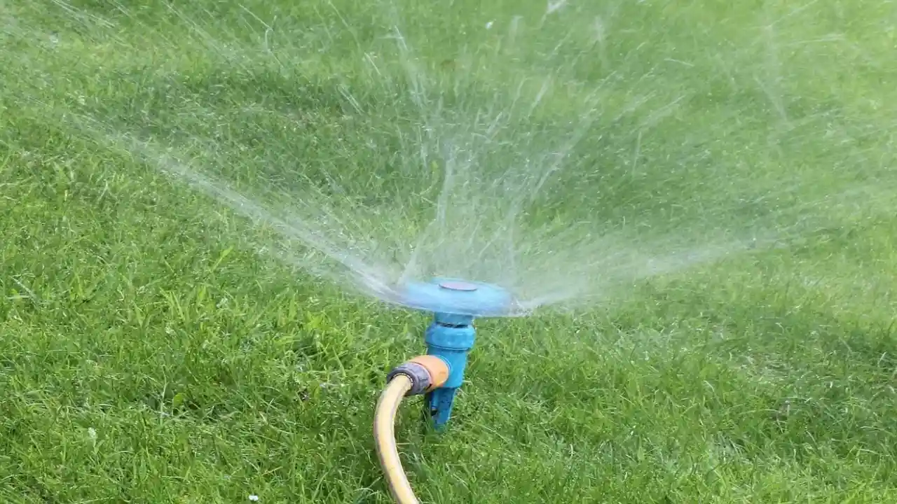 Motion activated sprinkler benefits