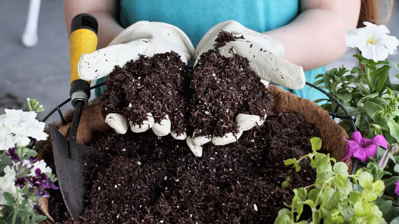 How to Sterilize Soil