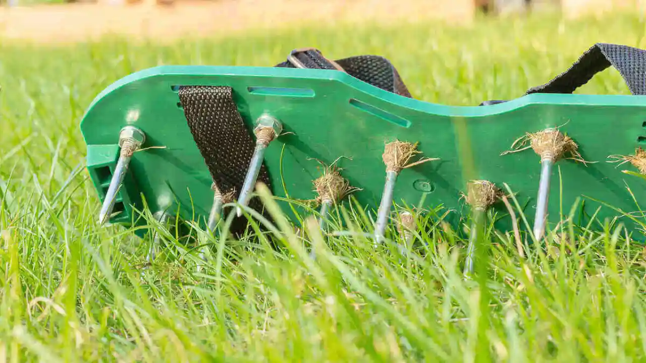 Spike lawn aeration 1