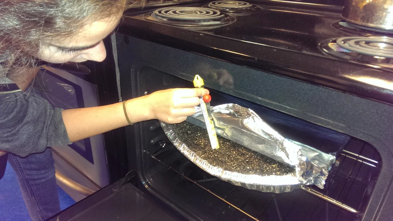 How to Sterilize Soil (Quick and Organically Friendly) 4 Sterilize soil in the oven