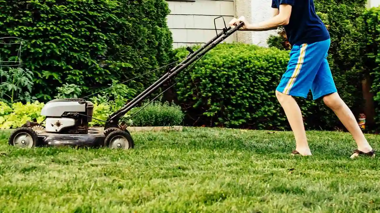 Talk to your neighbors about the mowing schedule