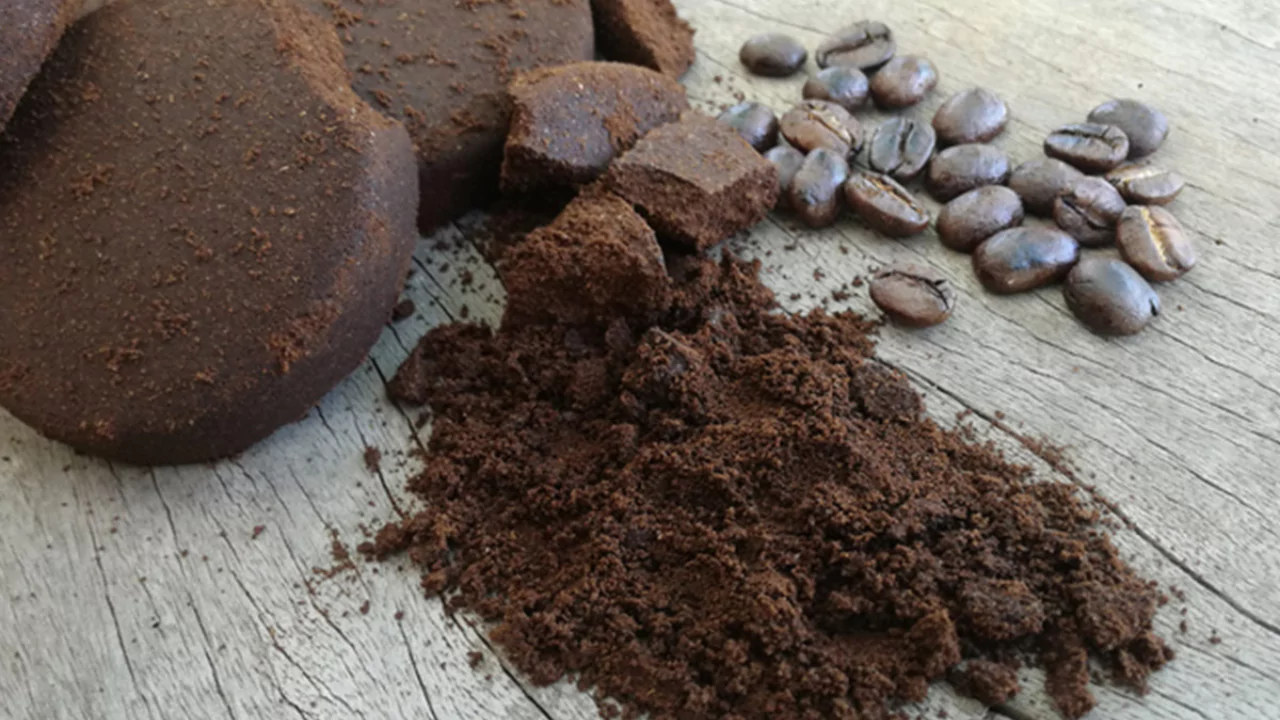 12 Best Miracle-Gro Alternatives You Should Know 3 Used ground coffee