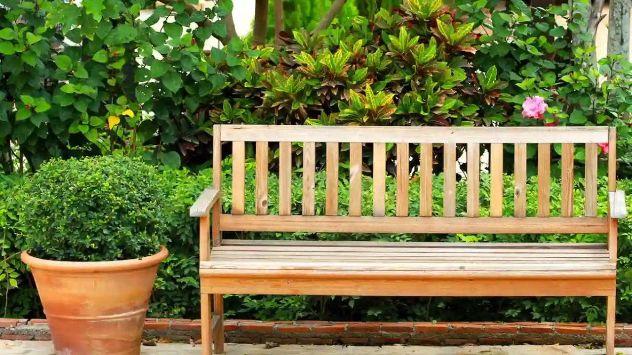 What Is The Best Wood For Garden Benches? 4 Wood bench in a backyard