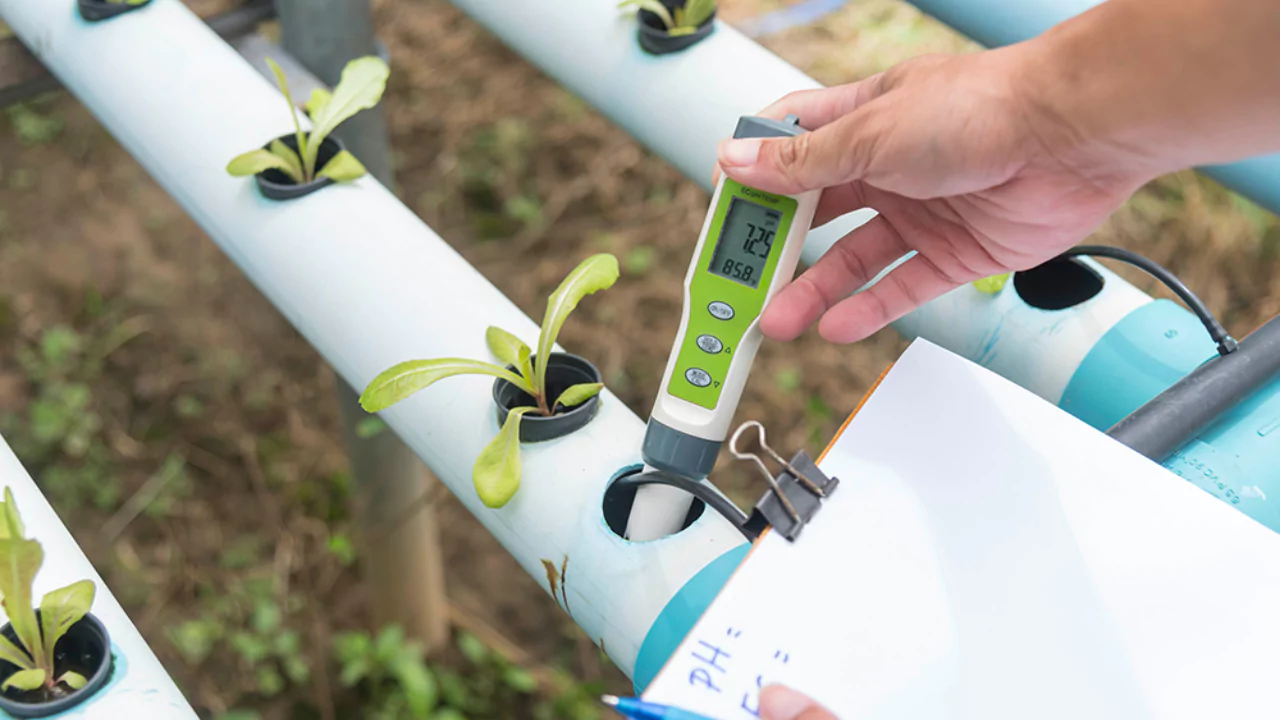 pH is important for hydroponics