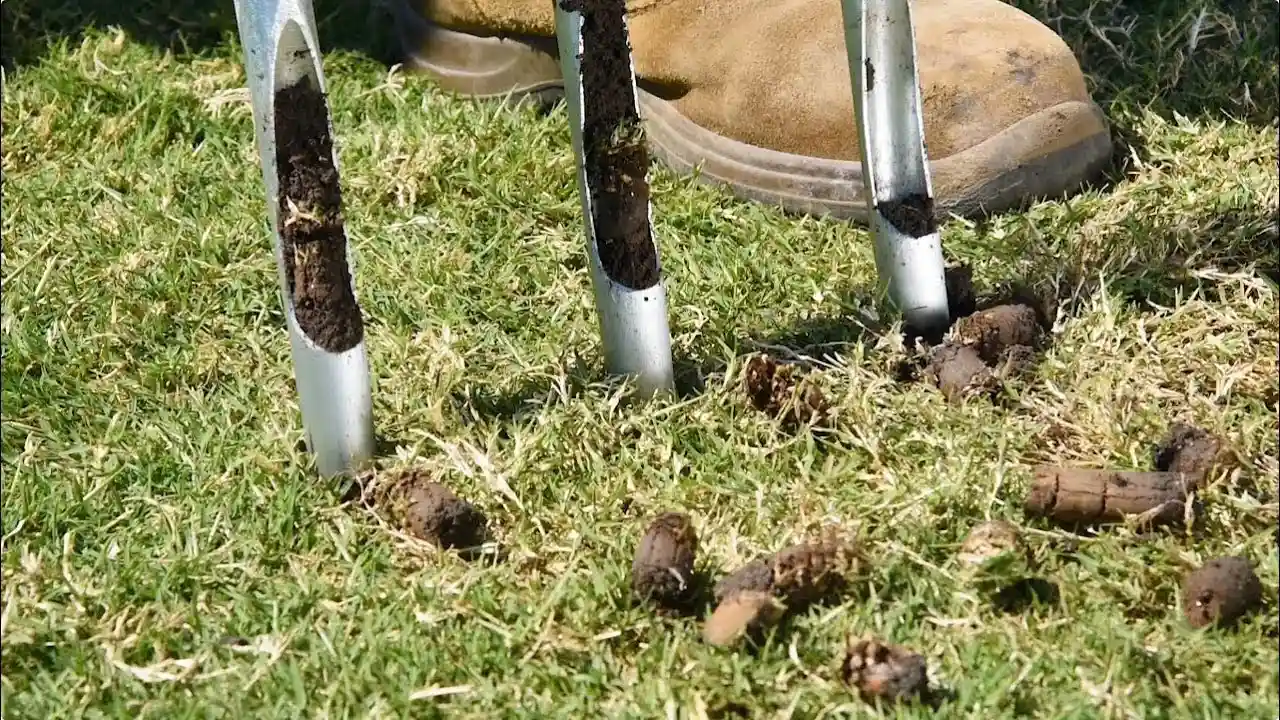 Aerate your soil