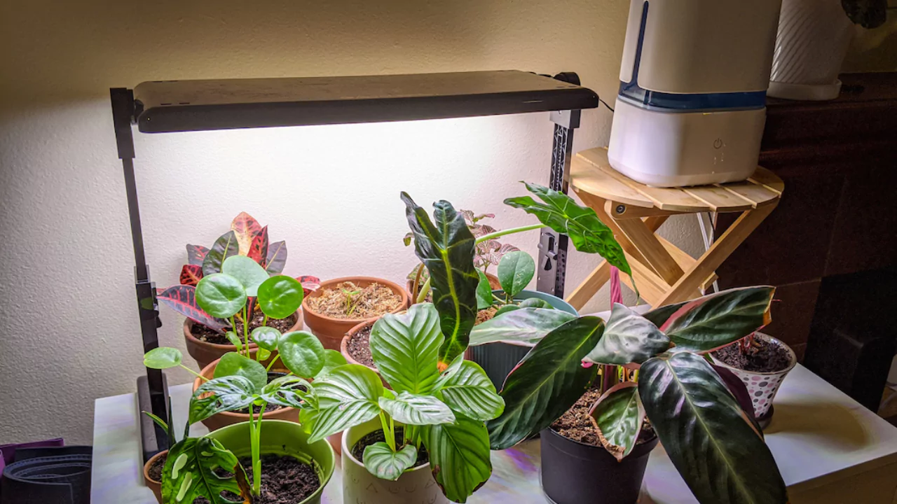 AeroGarden light too bright