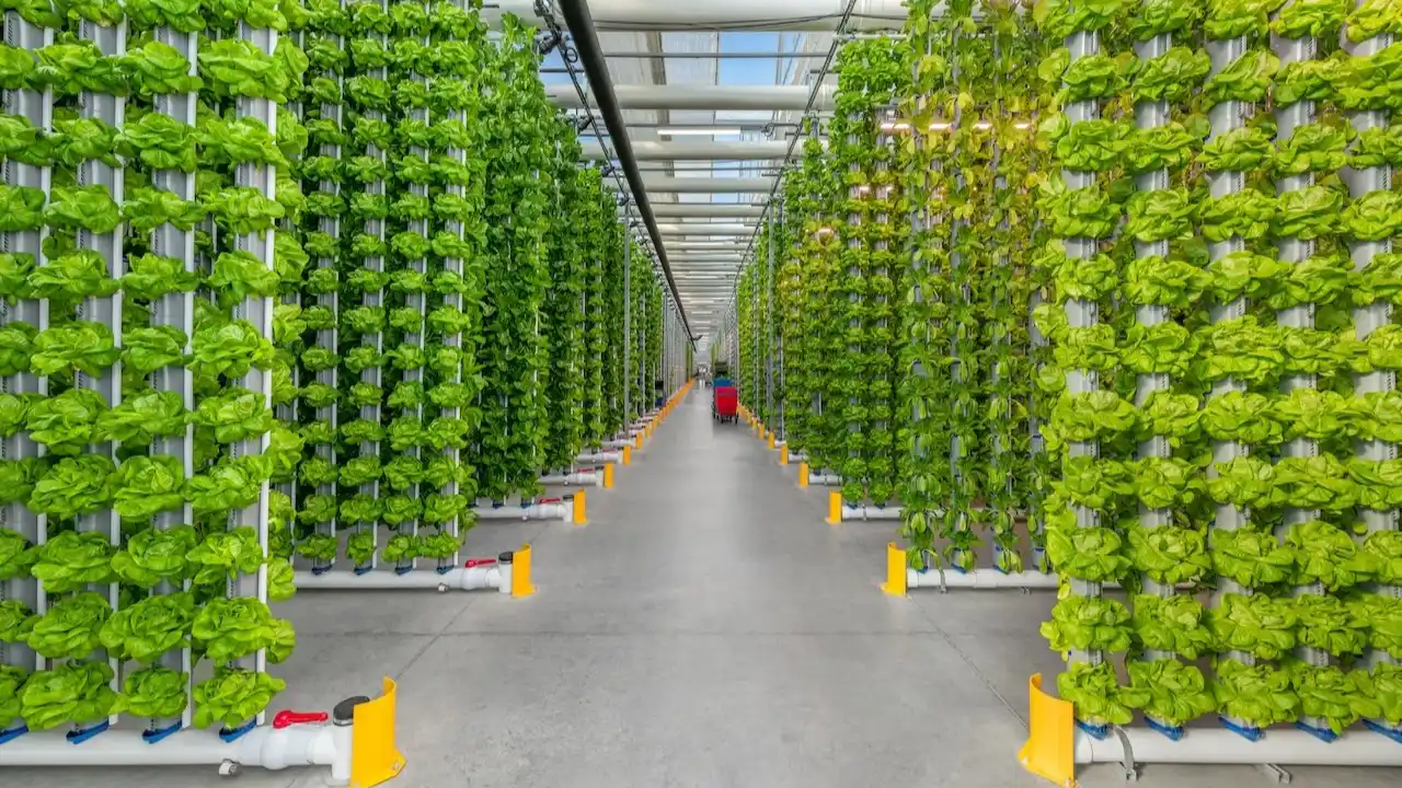 How to Feed Aeroponics -Aeroponics Nutrient Schedule 1 Aeroponics System