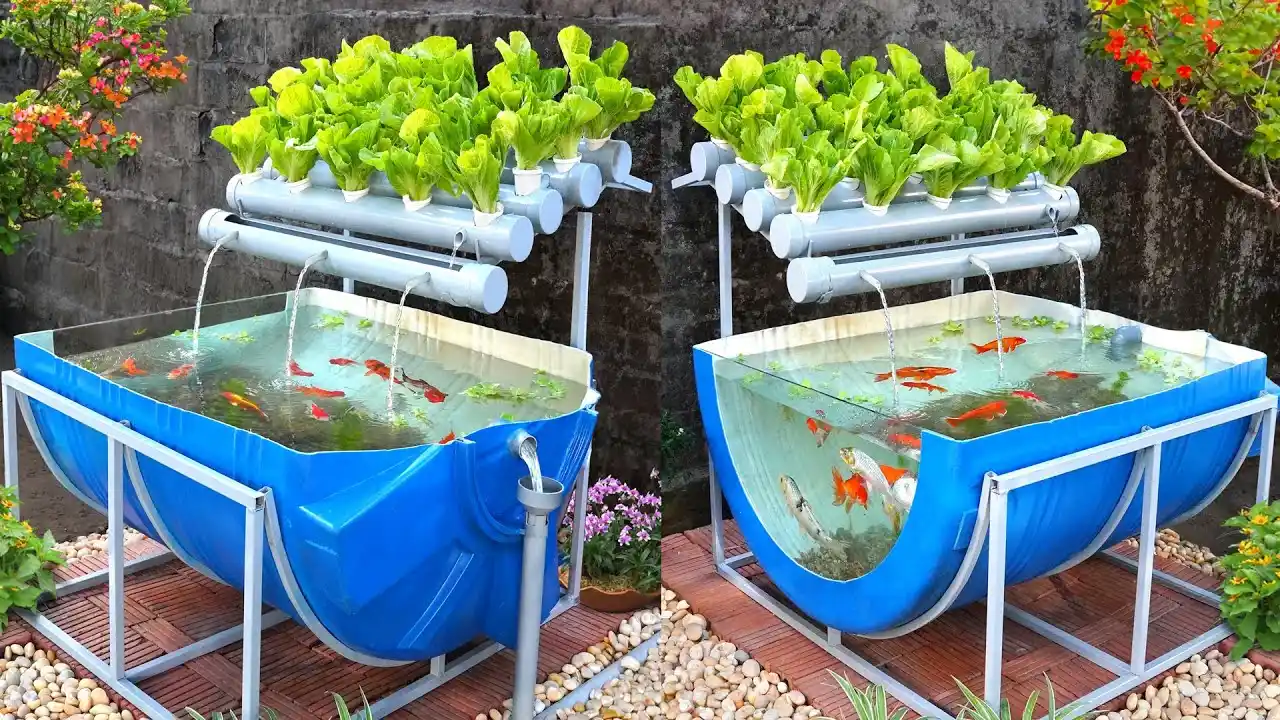 Aquaponics