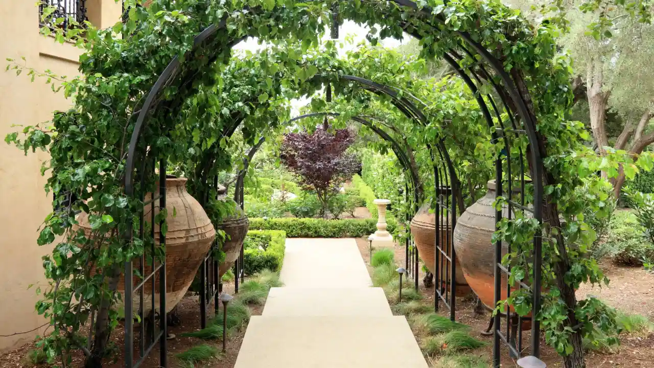 Pergola Vs Arbor: What’s The Difference? 1 Arbor in the park