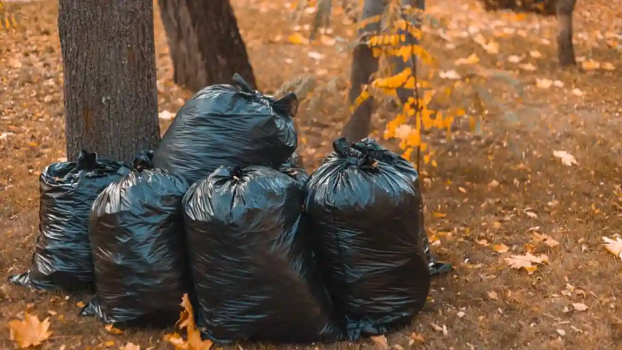What Is Black Bag Composting? 3 Black bag composting process