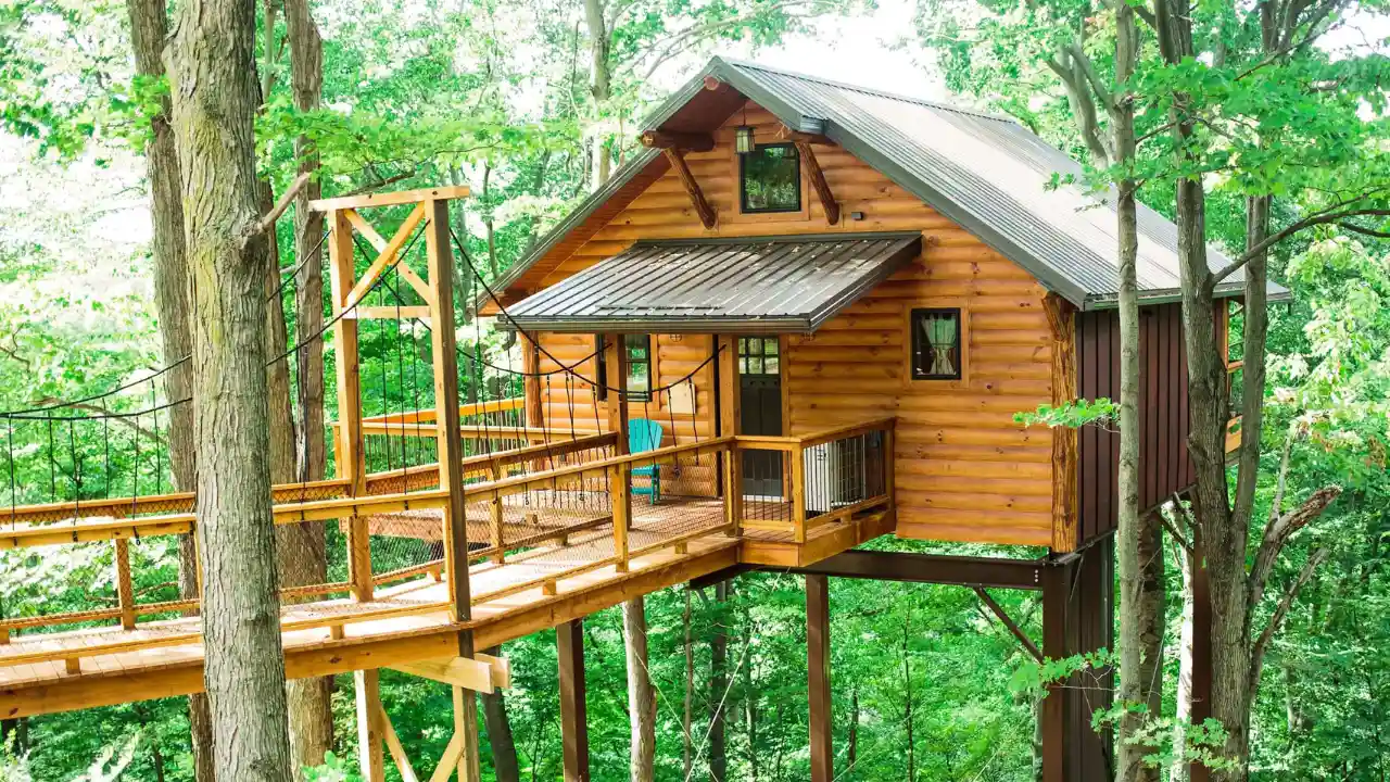 Cabin Treehouse