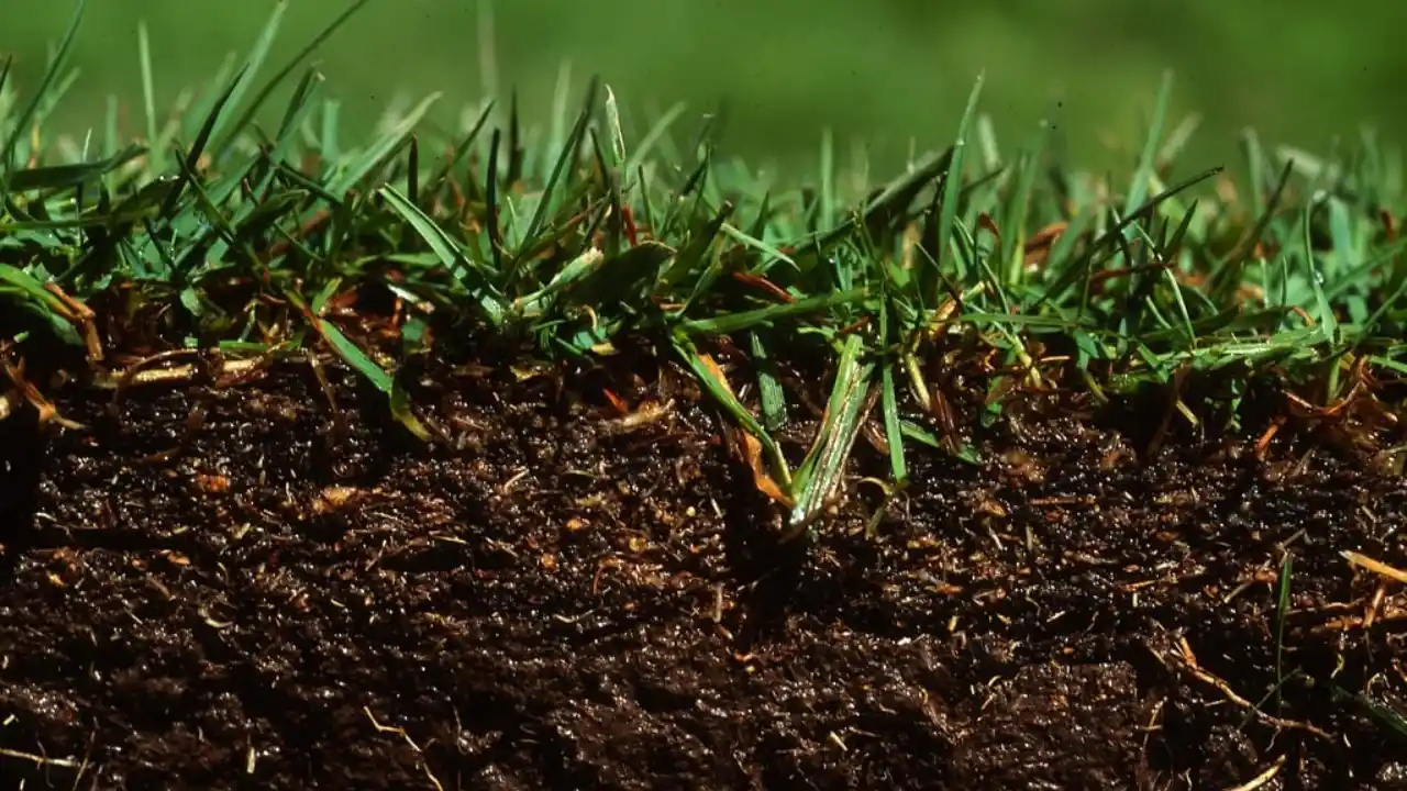 Compact soil 1