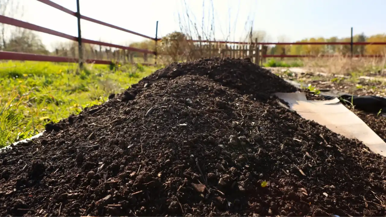 Compost thickness