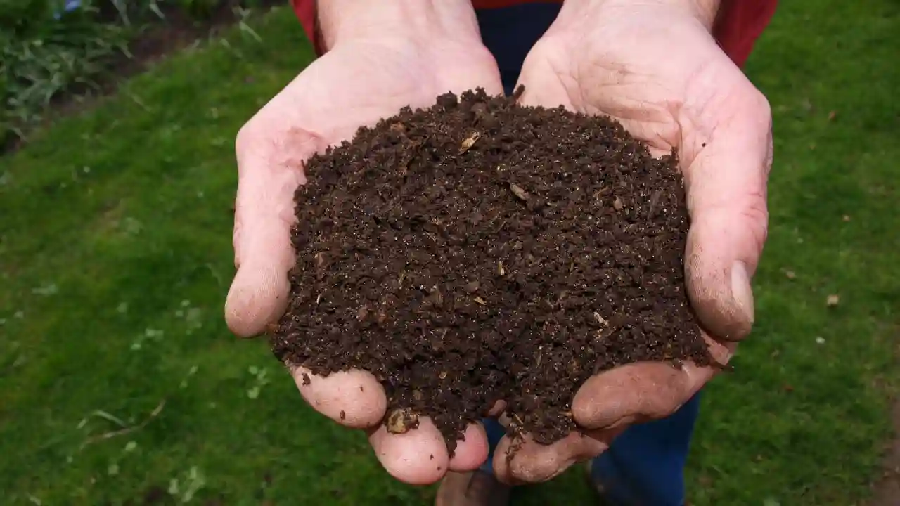 How Much Does a Cubic Yard of Topsoil Weigh? 5 Cubic Yard of Topsoil Cover