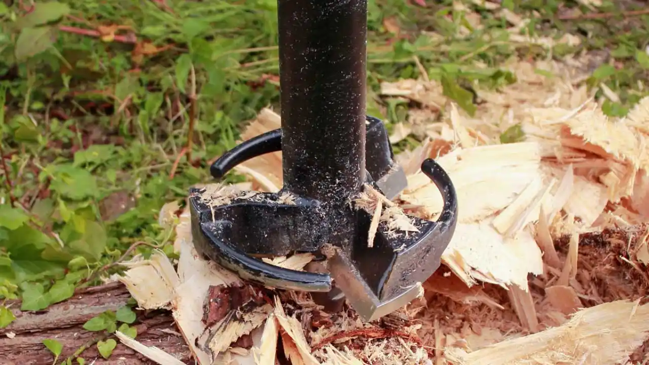 Drill holes around the tree stump