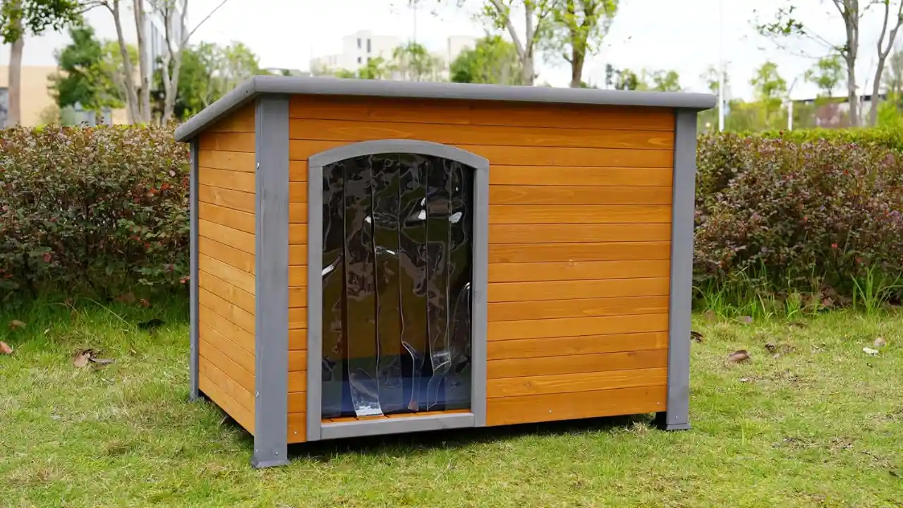 7 Amazing Backyard Dog Kennel Ideas 4 Duplex Dog House Idea