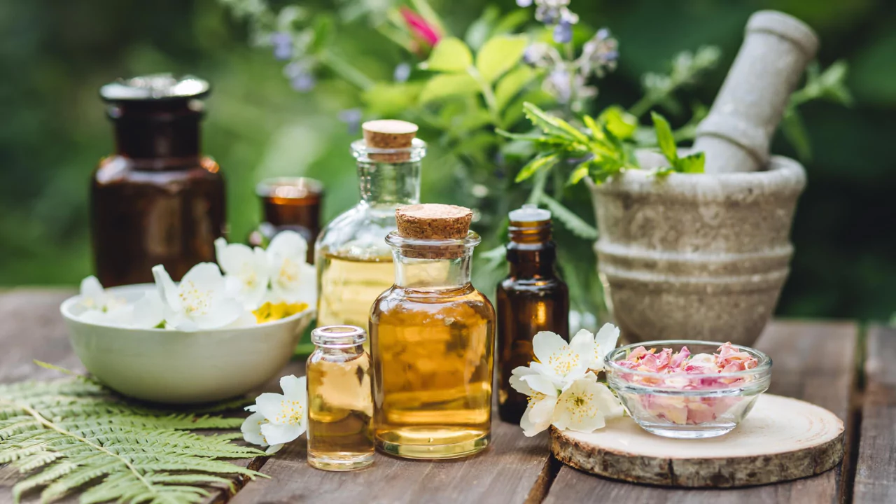 Natural Solutions for a Bug-Free Garden