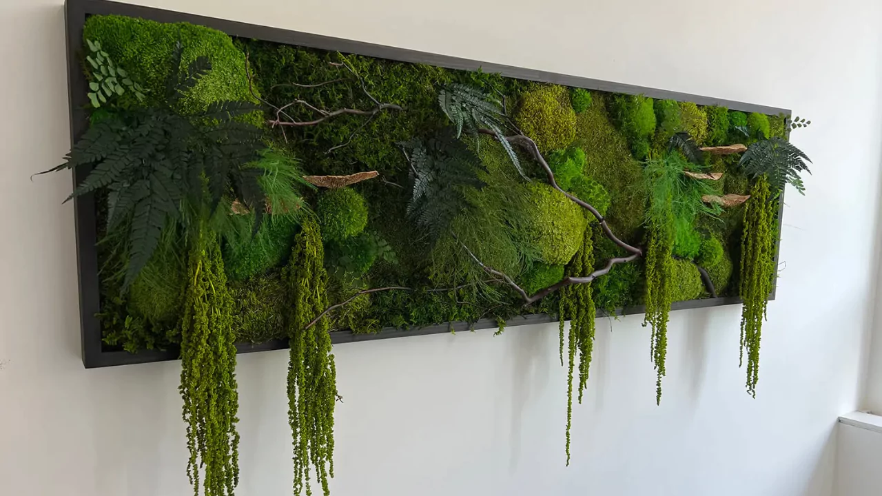 Fern Moss wall 1