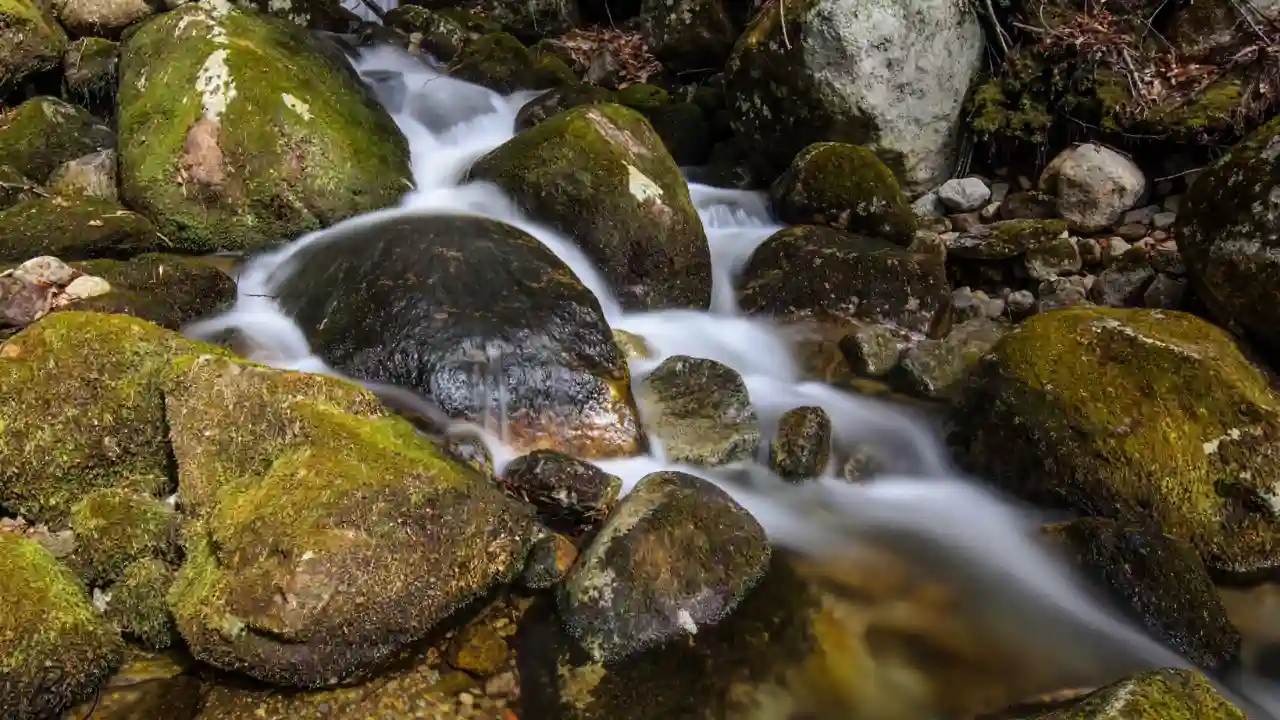 Where Can I Sell My Garden Rocks? 2 Finding free garden rocks