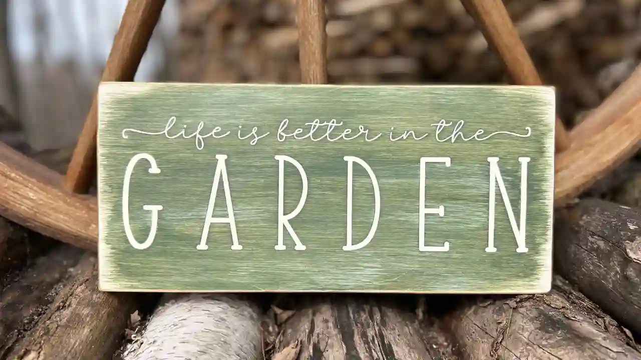 11 Crazy and Funny Garden Sign Ideas