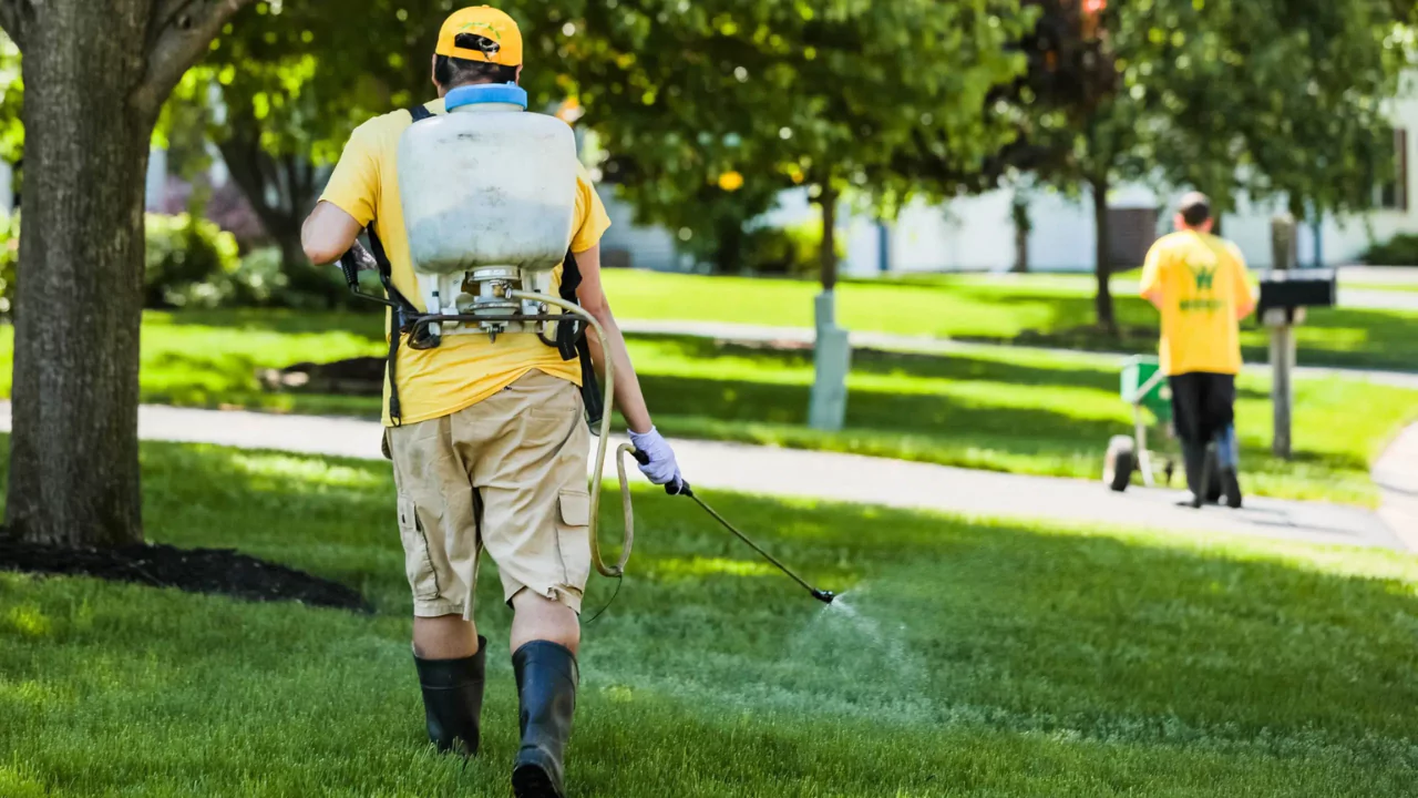 Granular vs Liquid Fertilizer for Lawns and grass