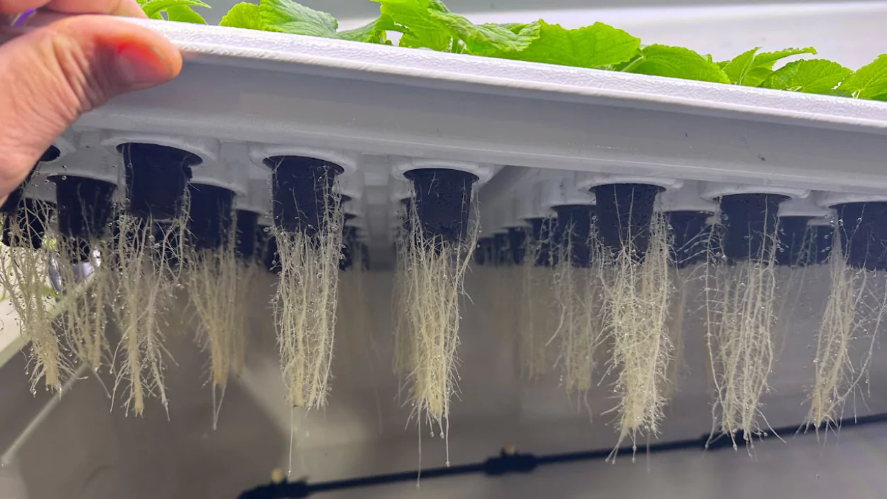 What Is Ultrasonic Fogger Aeroponics? 1 How Do These Systems Work