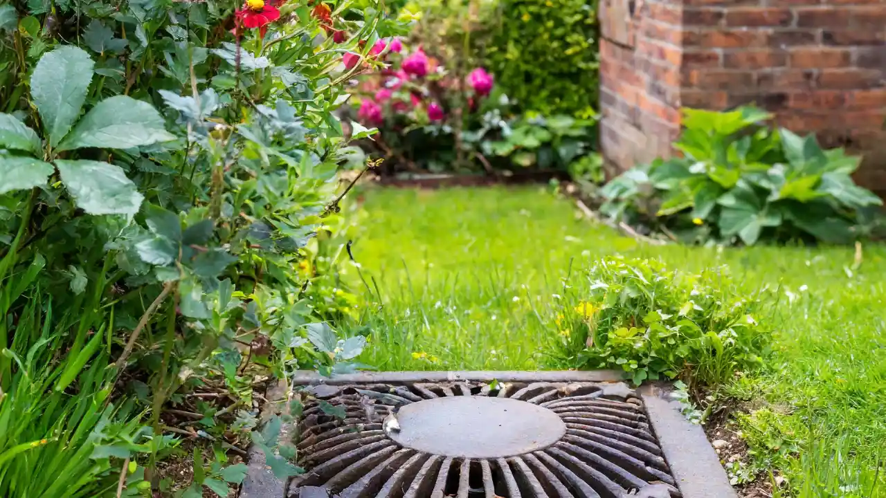 Clever Ideas to Hide Drain Covers in Your Garden