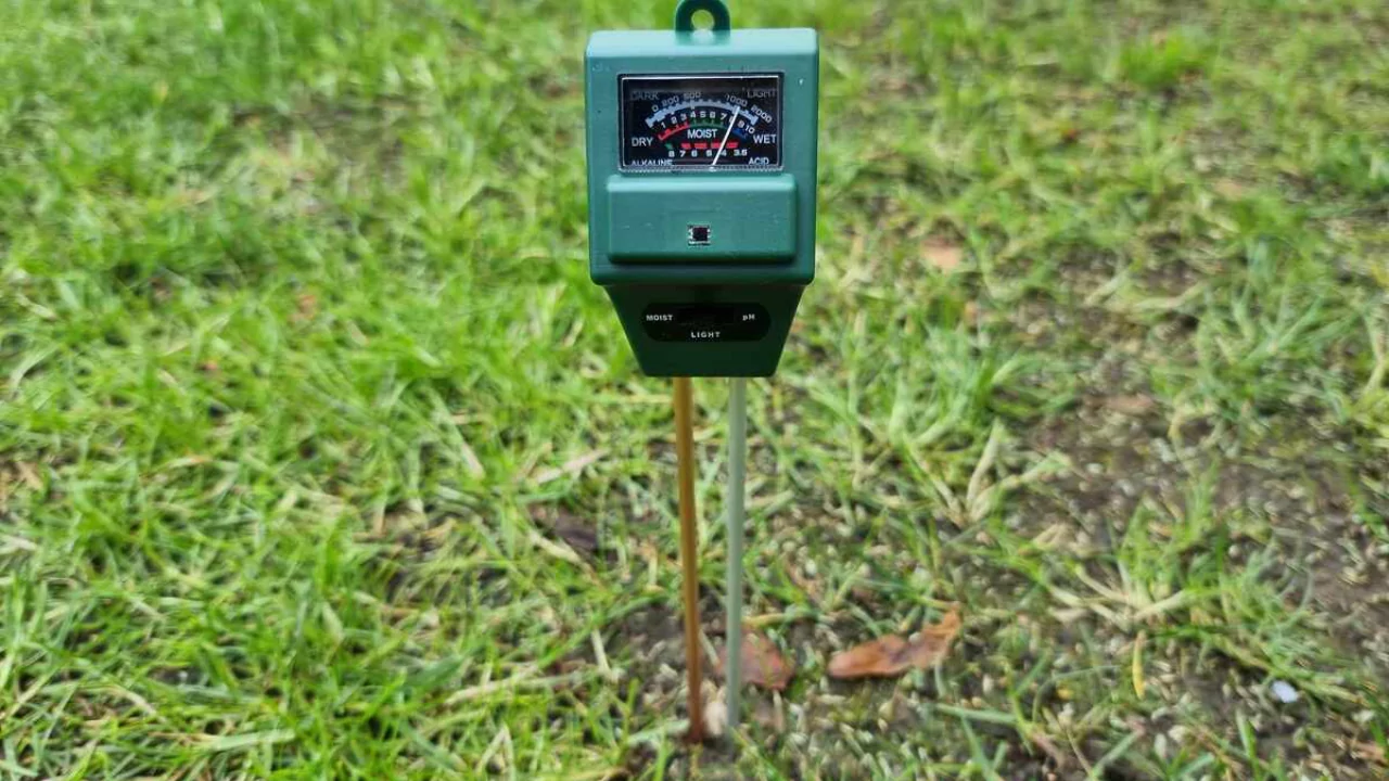 How Much Does a Cubic Yard of Topsoil Weigh? 3 Measure soil moisture