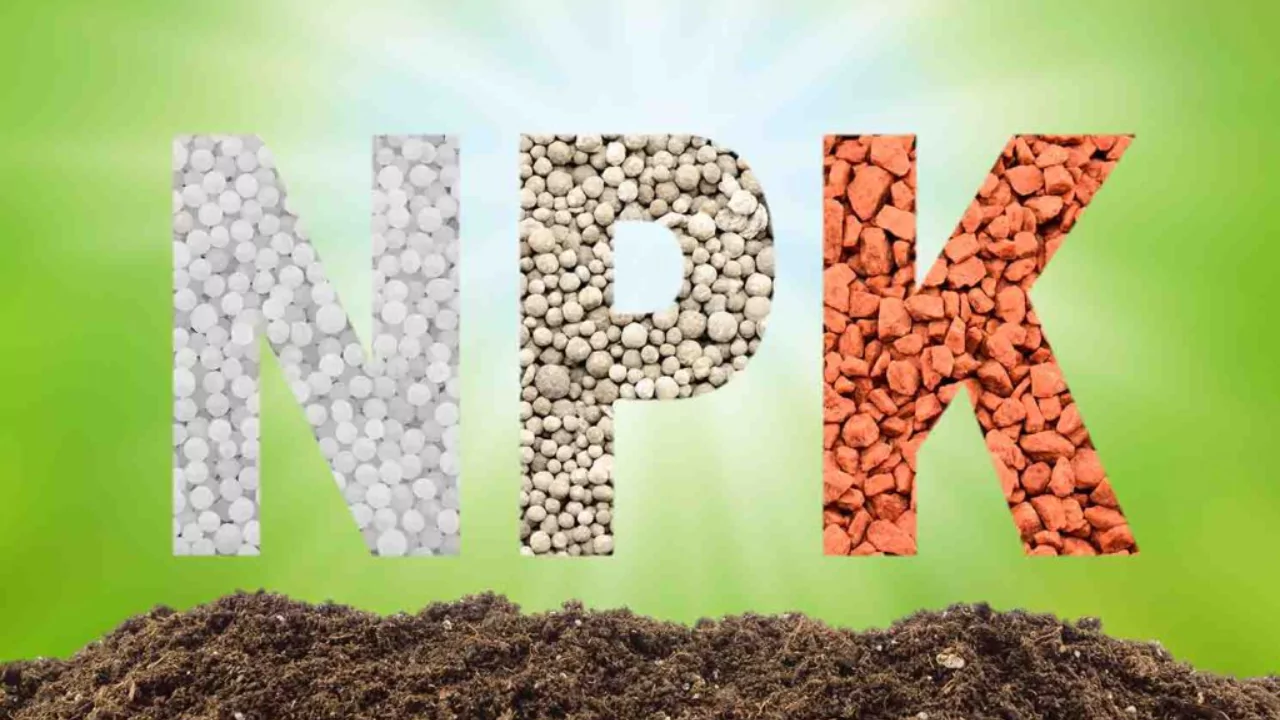 NPK