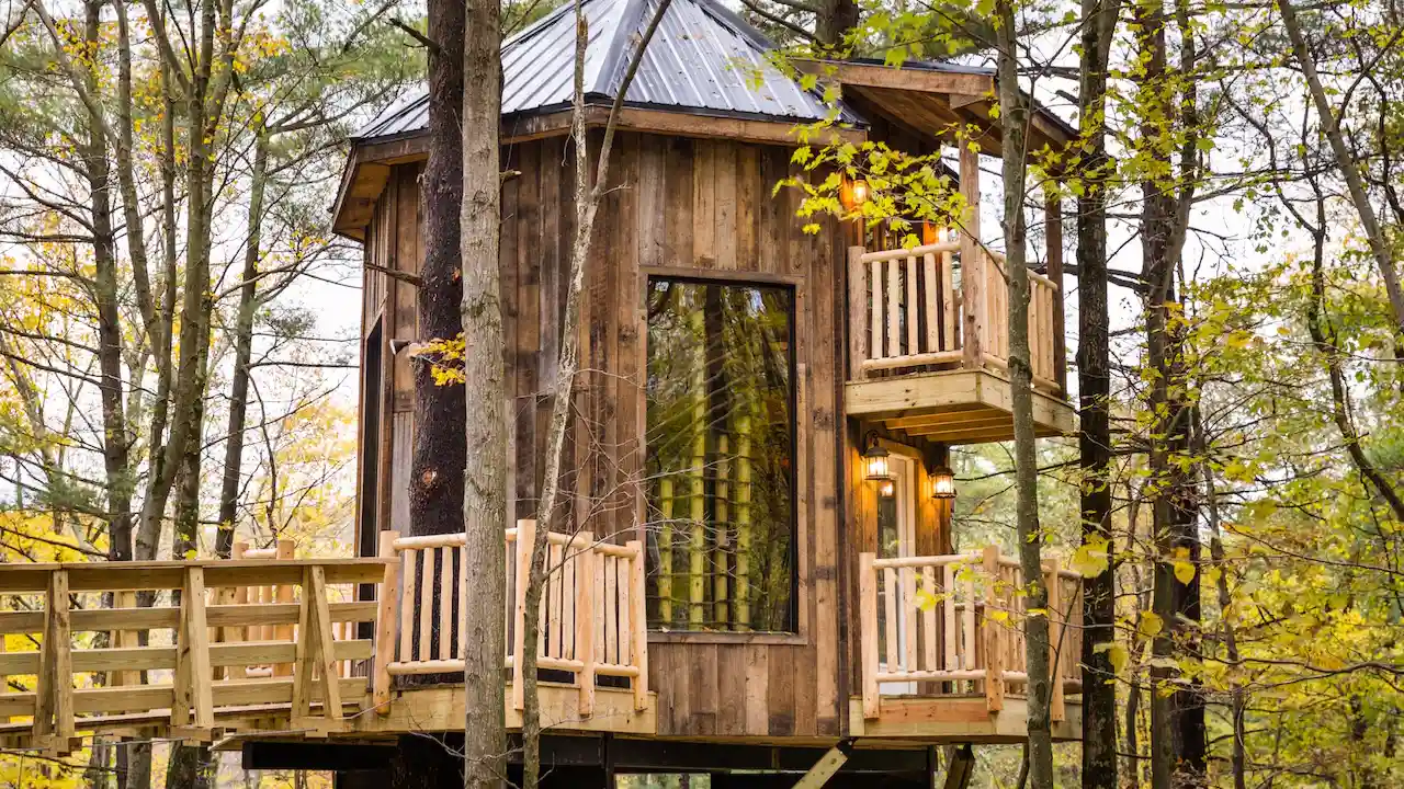 Ninja treehouse idea